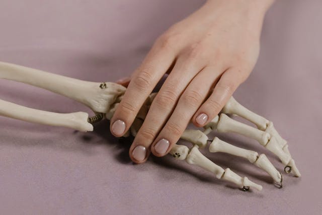 Vida y muerte
