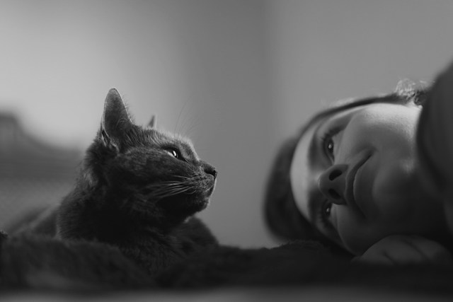 Muerte de una mascota