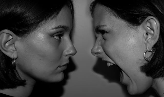Terapia Focalizada en las Emociones