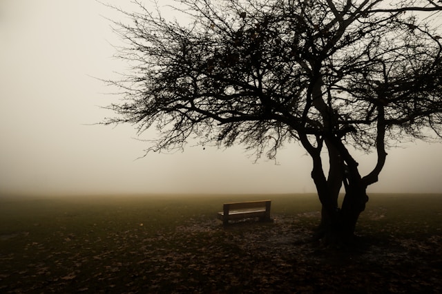 Miedo al abandono